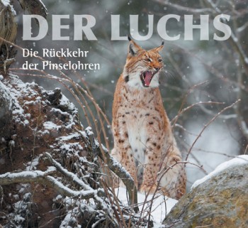 Der Luchs – Die Rückkehr der Pinselohren